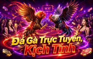 Sảnh Đá Gà DAGA giao diện gọn và rõ